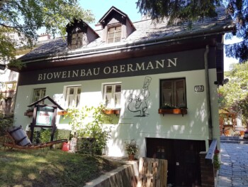 Bio Weinbau Obermann, Wien